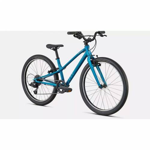 SPECIALIZED JETT 24 INT TLTNT/FLKSIL Cijena