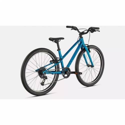 SPECIALIZED JETT 24 INT TLTNT/FLKSIL Cijena