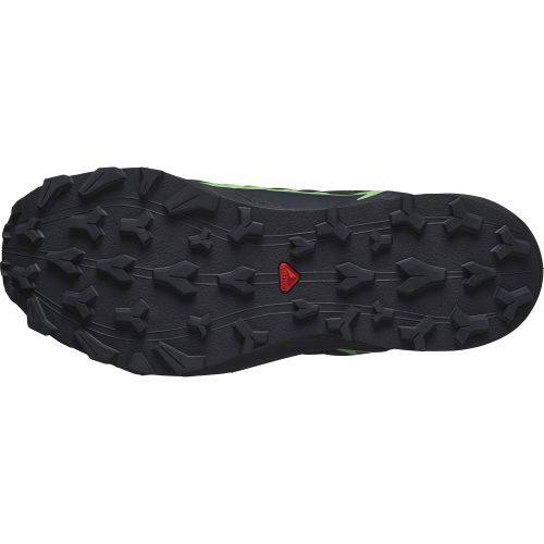 TENISICE SALOMON THUNDERCROSS GTX BLACK/GREEN GECKO/BLACK, 43 1/3 Cijena