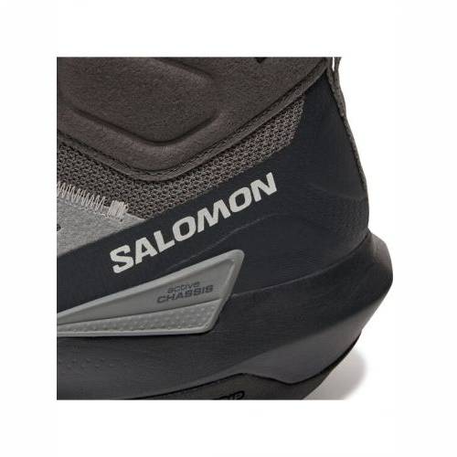 CIPELE SALOMON ELIXIR ACTIV MID GTX MAGNET, 43 1/3 Cijena