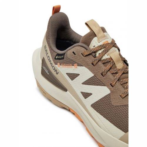 CIPELE SALOMON ELIXIR ACTIV GTX W FALCON, 38 Cijena