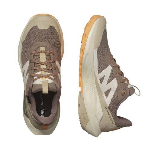 CIPELE SALOMON ELIXIR ACTIV GTX W FALCON, 38 Cijena