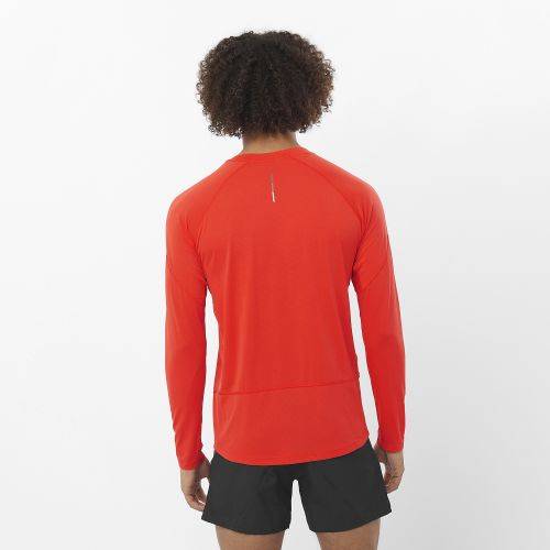 MAJICA SALOMON CROSS RUN LS TEE M CHERRY TOMATO, M Cijena