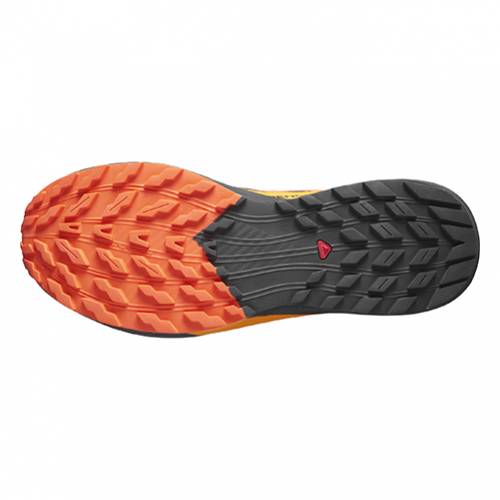 TENISICE SALOMON SENSE RIDE 5 GTX BLACK/SCARLET IBIS/TURMERIC, 43 1/3 Cijena