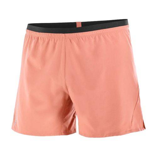 HLAČICE SALOMON CROSS 5 INCH SHORTS M LIGHT MAHOGANY, S Cijena