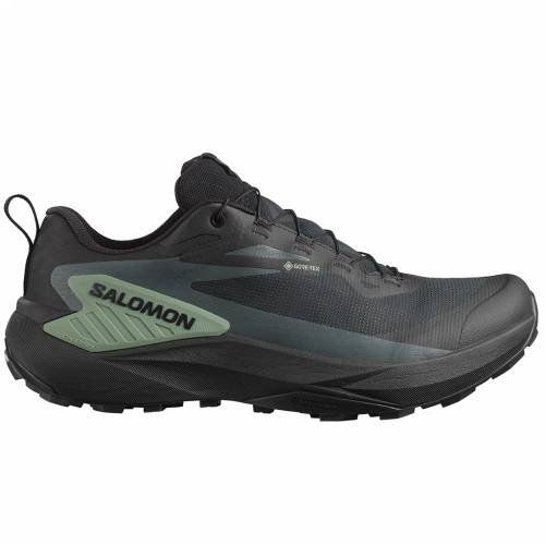 TENISICE SALOMON GENESIS GTX BLACK, 42 2/3 Cijena