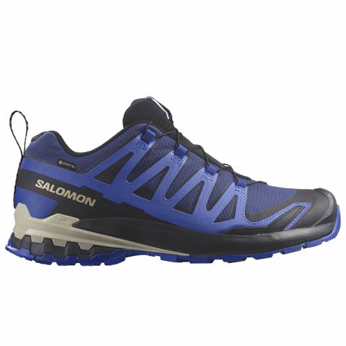 TENISICE SALOMON XA PRO 3D V9 GTX BLUE PRINT, 44 Cijena