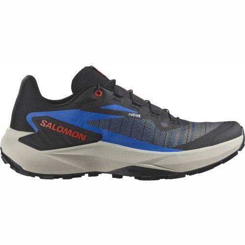 TENISICE SALOMON GENESIS BLACK/BLUE, 42 2/3 Cijena