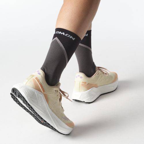 TENISICE SALOMON AERO GLIDE 3 GRVL W SHORTBREAD, 40 Cijena