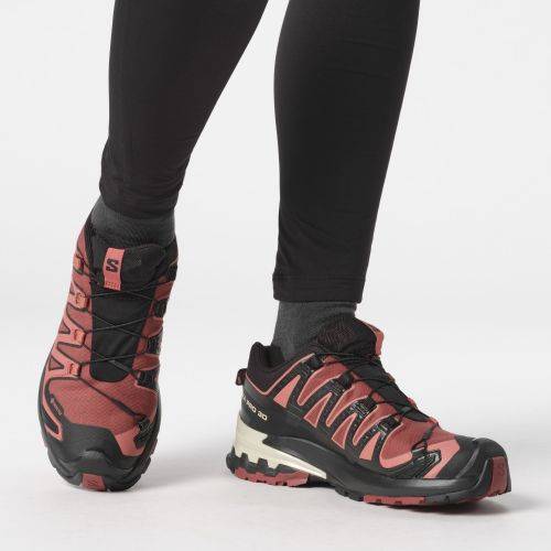 TENISICE SALOMON XA PRO 3D V9 GTX W COW HIDE, 38 2/3 Cijena