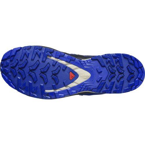 TENISICE SALOMON XA PRO 3D V9 GTX BLUE PRINT, 46 Cijena