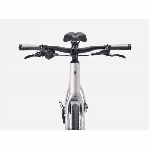 BICIKL TREK FX 3 L LUNAR SILVER / 2026 Cijena