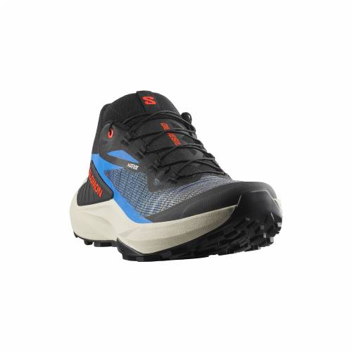 TENISICE SALOMON GENESIS BLACK/BLUE, 46 Cijena
