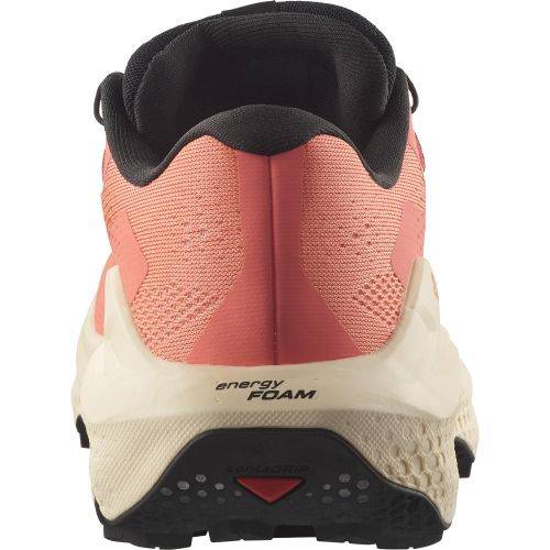 TENISICE SALOMON ULTRA GLIDE 3 W FUSION CORAL, 41 1/3 Cijena