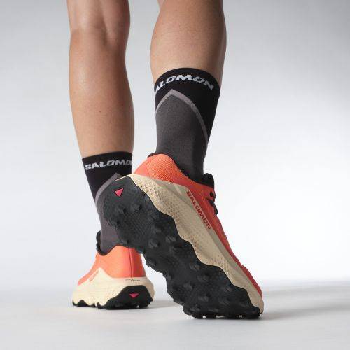 TENISICE SALOMON ULTRA GLIDE 3 W FUSION CORAL, 41 1/3 Cijena