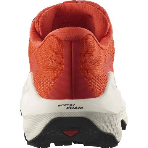 TENISICE SALOMON ULTRA GLIDE 3 CHERRY TOMATO, 44 Cijena