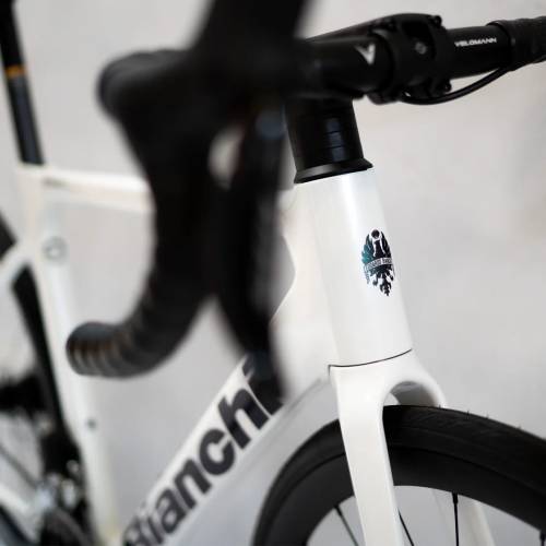 BIANCHI SPRINT ICR SHIMANO 105 12S SI WHITE, 55 cm Cijena