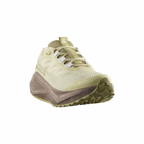 TENISICE SALOMON AERO BLAZE 3 GRVL GTX W GREEN HAZE, 39 1/3 Cijena