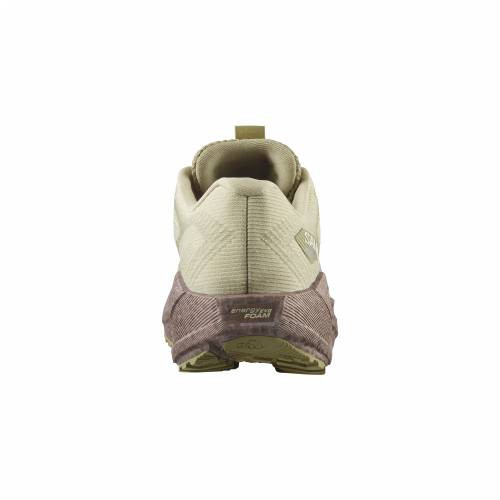 TENISICE SALOMON AERO BLAZE 3 GRVL GTX W GREEN HAZE, 39 1/3 Cijena