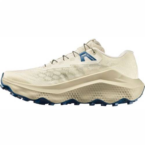 TENISICE SALOMON ULTRA GLIDE 4 TRANSPARENT YELLOW, 44 2/3 Cijena