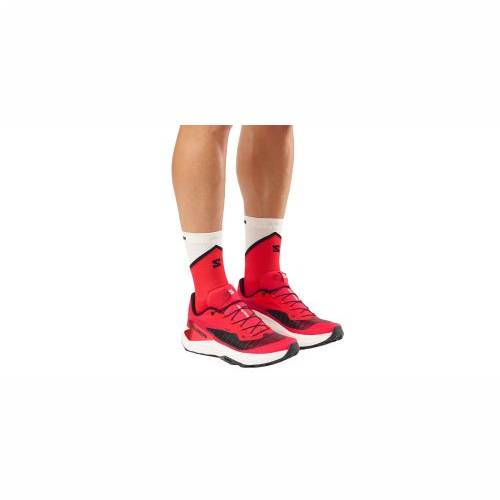 TENISICE SALOMON GENESIS FIERY RED, 44 Cijena