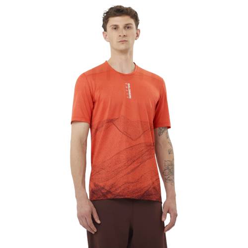 MAJICA SALOMON S/LAB ULTRA TEE AOP M BURNTSIENNA, L Cijena