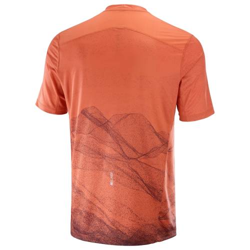 MAJICA SALOMON S/LAB ULTRA TEE AOP M BURNTSIENNA, L Cijena
