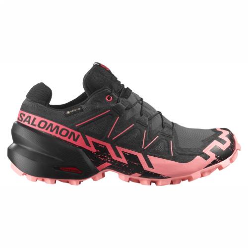 TENISICE SALOMON SPEEDCROSS 6 GTX W NINE IRON, 40 2/3 Cijena