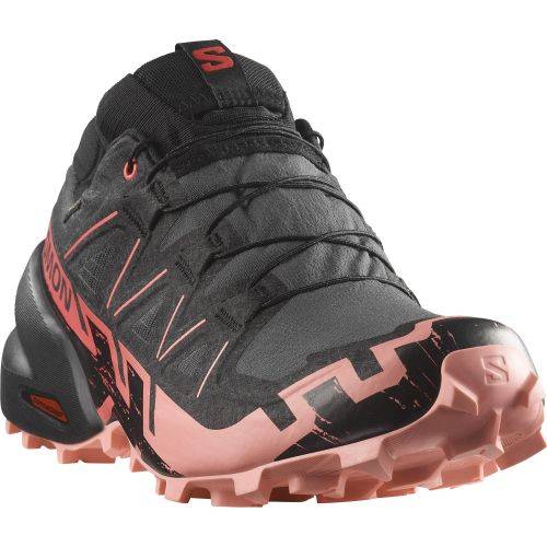 TENISICE SALOMON SPEEDCROSS 6 GTX W NINE IRON, 40 2/3 Cijena