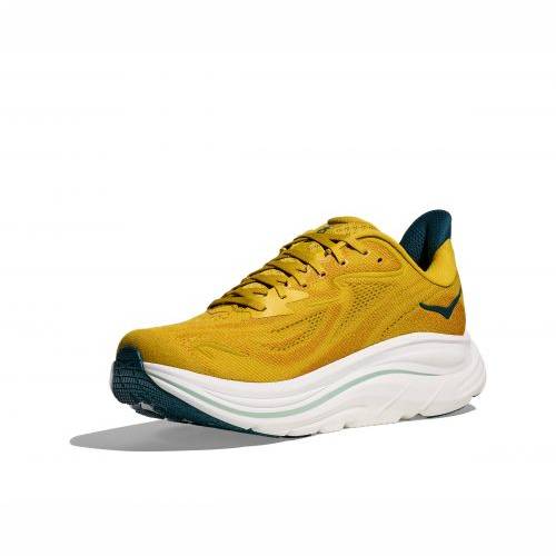 TENISICE HOKA CLIFTON 10 M YDT, 45 1/3 Cijena