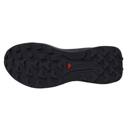TENISICE SALOMON GENESIS 2 HUCKLEBERRY/BLACK, 40-41 Cijena