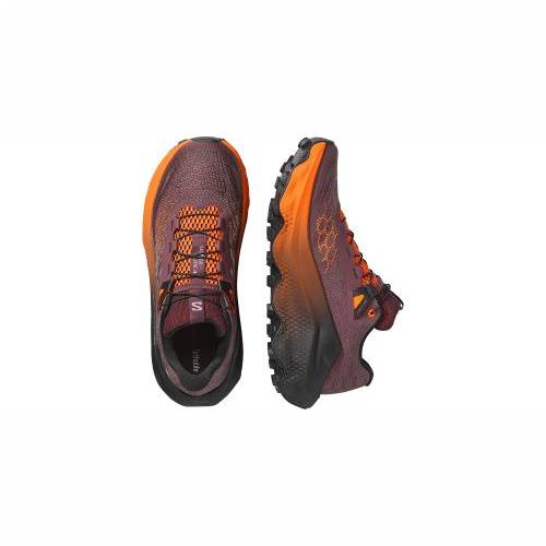 TENISICE SALOMON ULTRA GLIDE 4 HUCKLEBERRY/BLACK, 38 2/3 Cijena