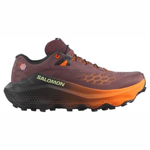TENISICE SALOMON ULTRA GLIDE 4 HUCKLEBERRY/BLACK, 41 1/3 Cijena
