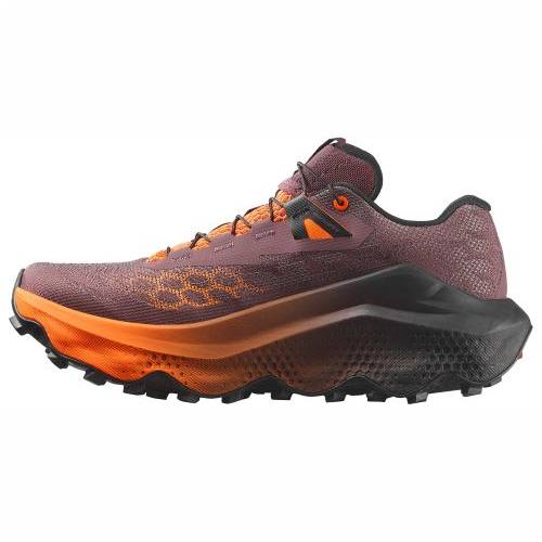 TENISICE SALOMON ULTRA GLIDE 4 HUCKLEBERRY/BLACK, 41 1/3 Cijena