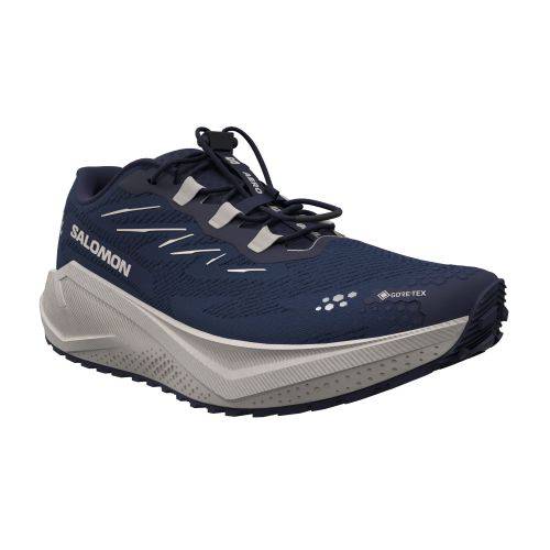 TENISICE SALOMON AERO BLAZE 4 GRVL GTX MARITIME BLUE, 44 Cijena