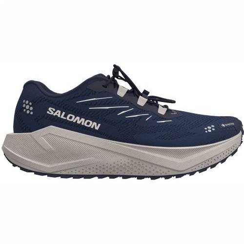 TENISICE SALOMON AERO BLAZE 4 GRVL GTX MARITIME BLUE, 44 2/3 Cijena