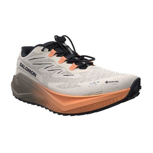 TENISICE SALOMON AERO BLAZE 4 GRVL GTX RAINY DAY/BLACK, 38 Cijena
