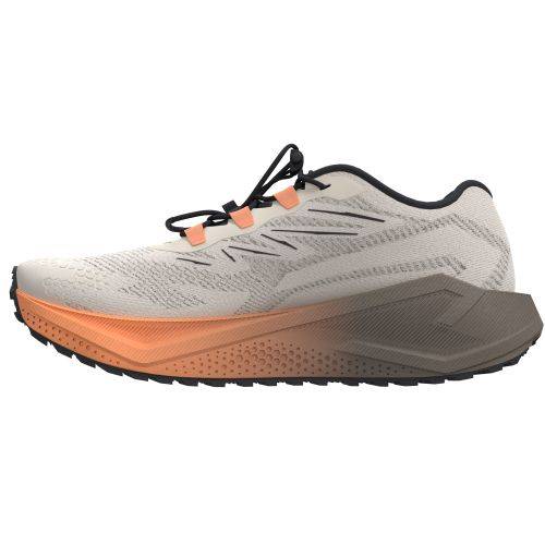 TENISICE SALOMON AERO BLAZE 4 GRVL GTX RAINY DAY/BLACK, 38 Cijena