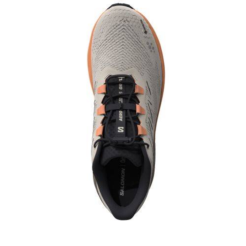TENISICE SALOMON AERO BLAZE 4 GRVL GTX RAINY DAY/BLACK, 38 Cijena