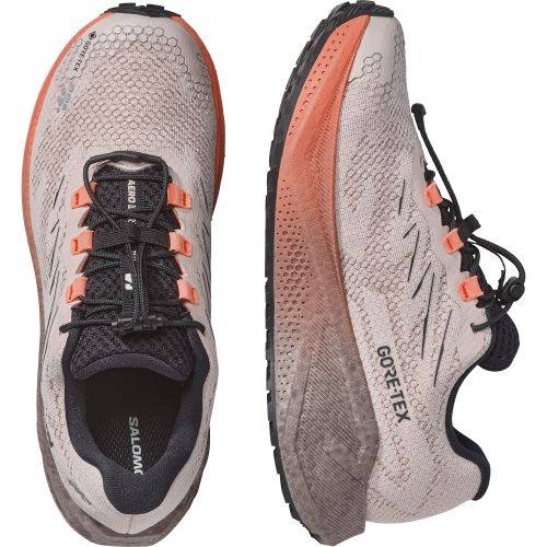TENISICE SALOMON AERO BLAZE 4 GRVL GTX RAINY DAY/BLACK, 38 Cijena