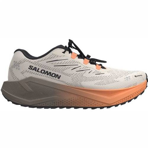 TENISICE SALOMON AERO BLAZE 4 GRVL GTX RAINY DAY/BLACK, 39 1/3 Cijena