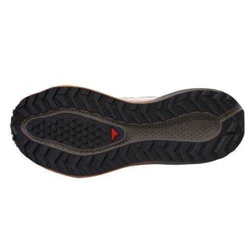 TENISICE SALOMON AERO BLAZE 4 GRVL GTX RAINY DAY/BLACK, 39 1/3 Cijena