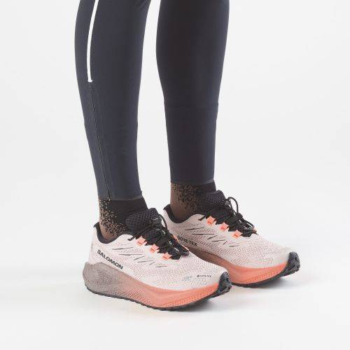 TENISICE SALOMON AERO BLAZE 4 GRVL GTX RAINY DAY/BLACK, 41 1/3 Cijena
