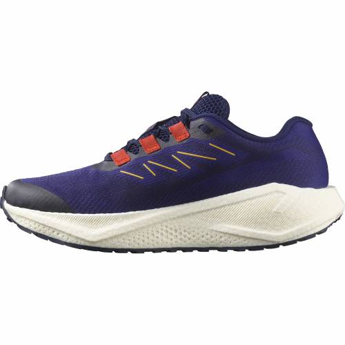 TENISICE SALOMON AERO BLAZE 3 GRVL ASTRAL AURA, 44 2/3 Cijena