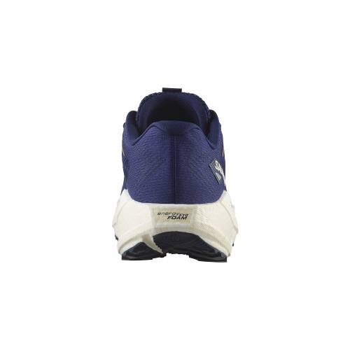 TENISICE SALOMON AERO BLAZE 3 GRVL ASTRAL AURA, 44 2/3 Cijena