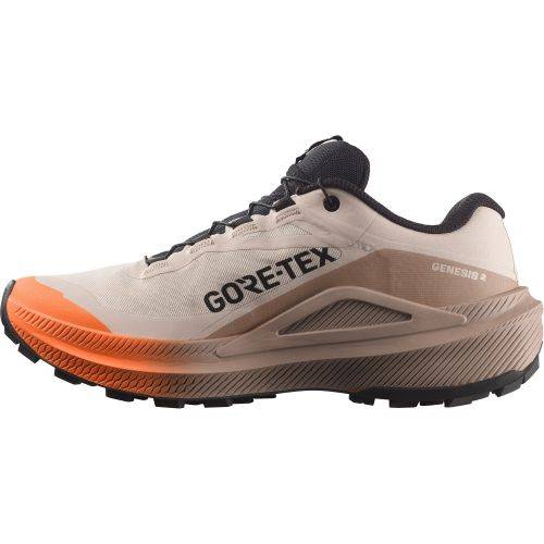 TENISICE SALOMON GENESIS 2 GTX RAINY DAY/DESERT TAN, 39 1/3 Cijena