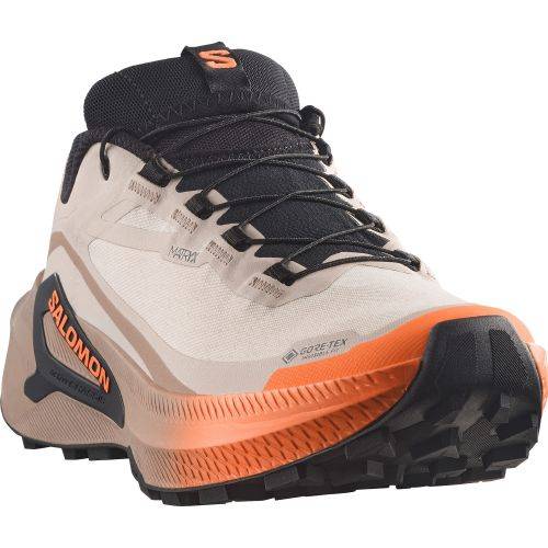 TENISICE SALOMON GENESIS 2 GTX RAINY DAY/DESERT TAN, 40 2/3 Cijena