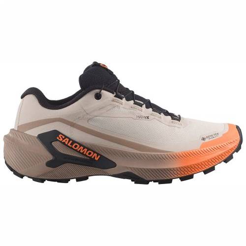 TENISICE SALOMON GENESIS 2 GTX RAINY DAY/DESERT TAN, 41 1/3 Cijena