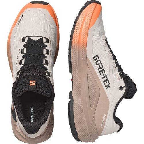 TENISICE SALOMON GENESIS 2 GTX RAINY DAY/DESERT TAN, 41 1/3 Cijena