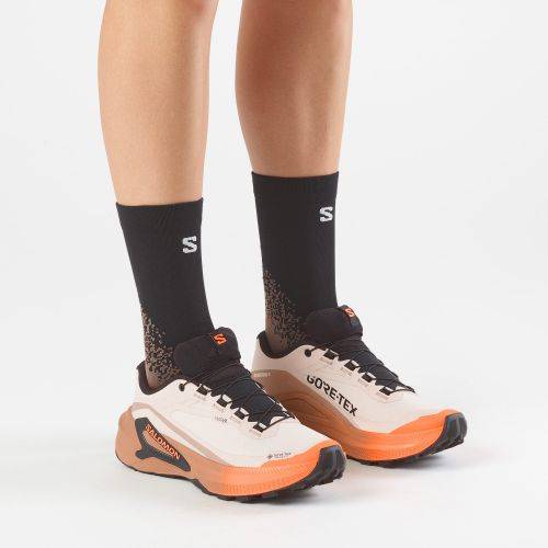 TENISICE SALOMON GENESIS 2 GTX RAINY DAY/DESERT TAN, 41 1/3 Cijena